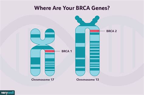 Non-BRCA Gene Mutations That Raise Breast Cancer Risk