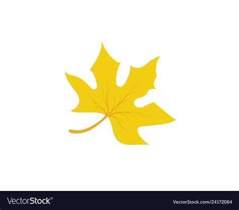 Maple leaf Royalty Free Vector Image - VectorStock