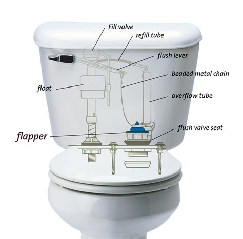 How to Address and Repair Leaky Toilets