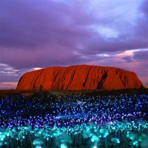 Image result for field of light uluru | Best places to travel ...