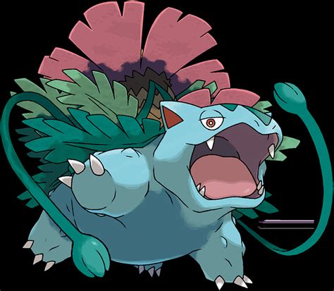 Pokemon Mega Evolution Venusaur