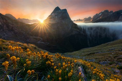 Unseen New Zealand Photography Tour - William Patino Photography