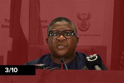 Cabinet Ratings 2021: Minister of Transport Fikile Mbalula | News24