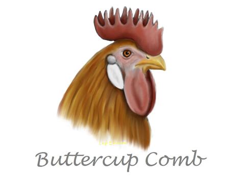 Natural Chicken Keeping: Combs - The Bowlers, Fedoras and Berets of the ...