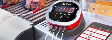 8 Best Smoker Thermometers Reviewed in Detail (Winter 2024)