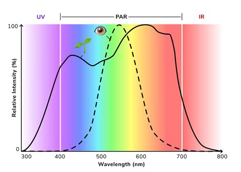 Luminous-flux-vs-PAR - LEDSupply Blog