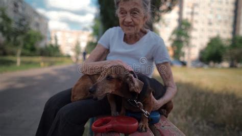 Animal Theme is a Lonely Old Woman Best Friend. Caucasian 90 Years Old Senior Female is Happy To ...