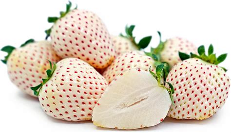 White Strawberries Information and Facts