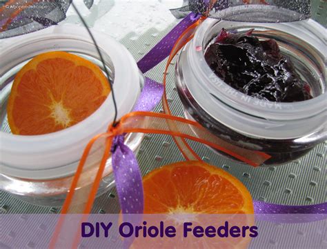 DIY Oriole Feeders - Who Needs A Cape?