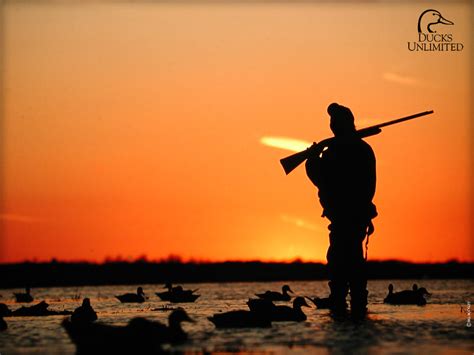 Duck Hunting Wallpaper - WallpaperSafari