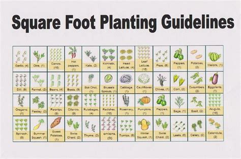 Square Foot Planting Guide | Garden Layout Vegetable