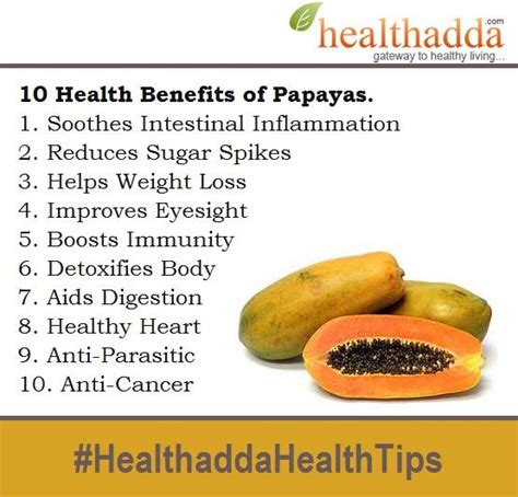 Papaya Benefits #Healthadda #HealthaddaHealthTips #Papaya #Health # ...