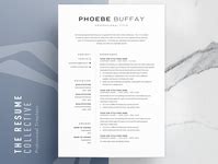 Dribbble - Phoebe-Resume-CV-Template-Word-Primary.jpg by The Resume Collective