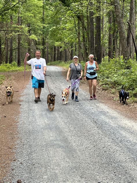 Tails and Trails: Montgomery County's Hiking Hope for Shelter Dogs - NC ...