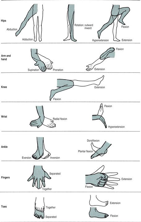 16. Exercises: Active and Passive | Nurse Key