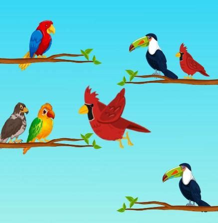 Bird Sort Color : Puzzle Game APK für Android herunterladen