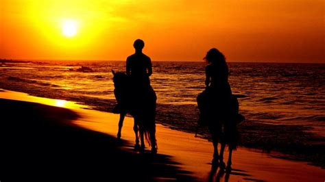 Sunset horse riding on a beach | Sunset nature, Sunset, Sunset wallpaper