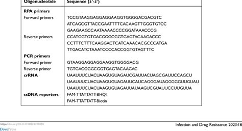 Oligonucleotide Sequences Used in the Study | Download Scientific Diagram