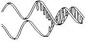 Information about Genetics courses, Genetics lessons, Genetics classes ...