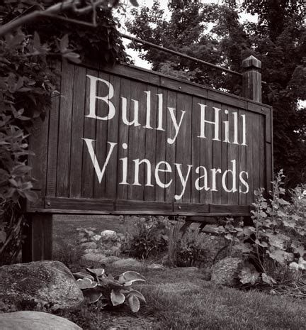 Lifestyle Maven: wine o' the month: bully hill