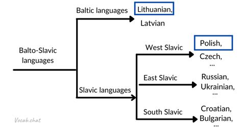 Lithuanian and Polish [Language Similarities]