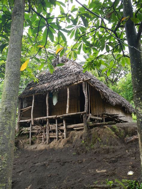 Material Wealth, Tanna, Vanuatu, Pacific, Arch, Island, House Styles ...