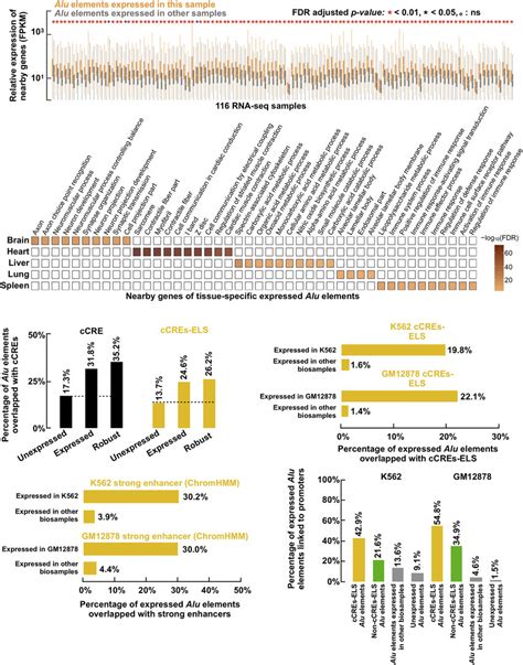 Specifically expressed Alu elements may function as cell-type-specific... | Download Scientific ...