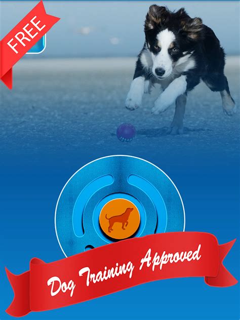 Dog Training Clicker - Android Apps on Google Play