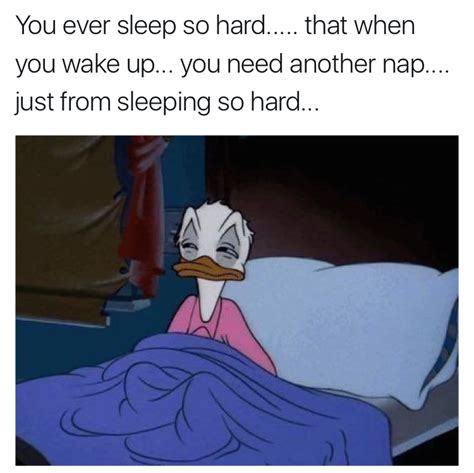 55 Hilarious Memes For Anyone Who Just Loves Sleep