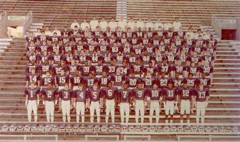 TCU Football Team 1983 | Tcu football, Football team, Tcu