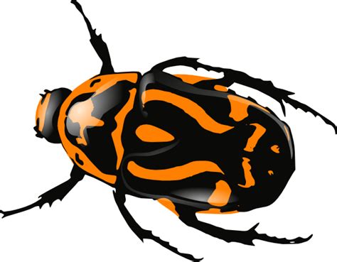 Free Orange Bug Cliparts, Download Free Orange Bug Cliparts png images, Free ClipArts on Clipart ...