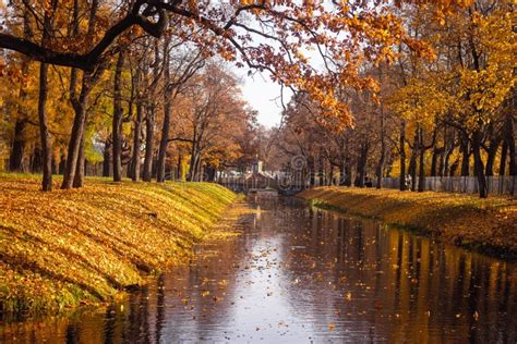 Bridges City Autumn Park. Golden Autumn . Autumn in the Park Stock ...