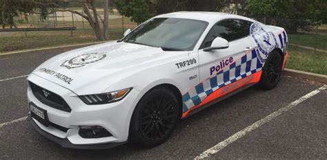 The contenders for the next NSW Police Highway Patrol cars