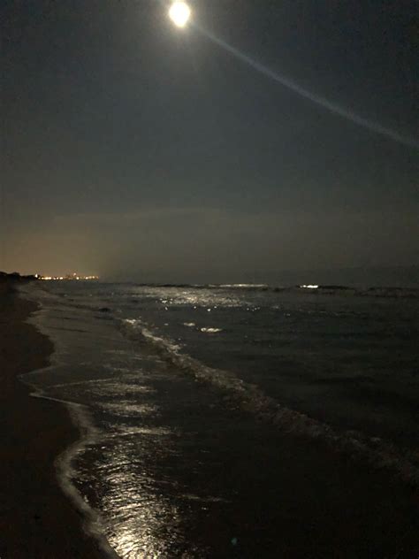 Moonlight walks on the beach | Beach at night, Ocean at night, Beach night