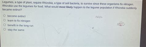 Solved: Legumes, a type of plant, require Rhizobia, a type of soil bacteria, to survive since ...