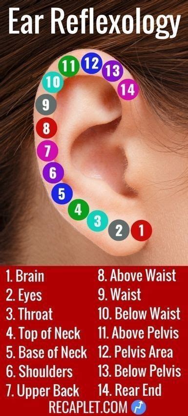 Pain intensity ear piercing pain chart - limopatch