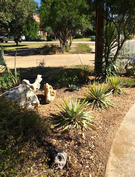 Hill country garden charm in the heart of San Antonio... | Diana's ...