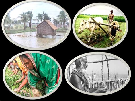 The Culture of Bangladesh: The Agricultural Culture of Bangladesh