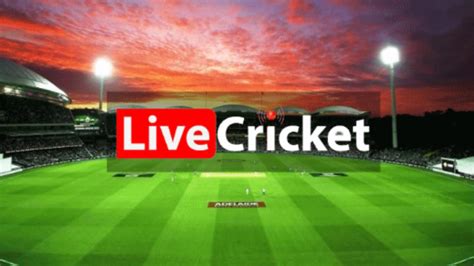 Crictime Live Cricket Streaming Live Ipl T20 Match Updates 2020 - Photos