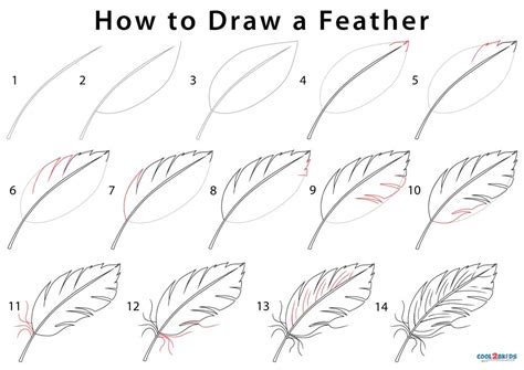 how to draw a feather for beginners - Treva Kuykendall