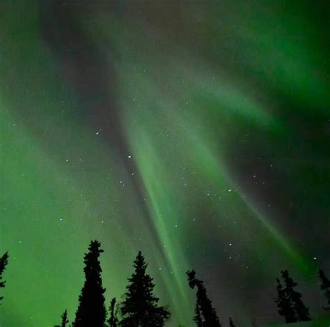 Aurora Borealis spotted after days of snow in Alaska | WFLA