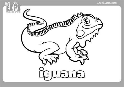 Iguana Coloring Page - Ezpzlearn.com