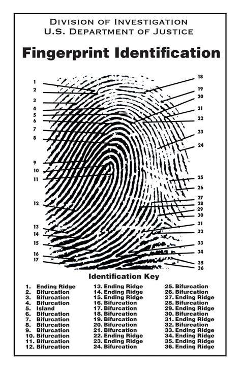 Fingerprinting with Ink - ForensiKit by Crime Scene