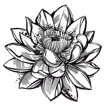 Lotus Flower Tattoo Clipart - Viraltattoo