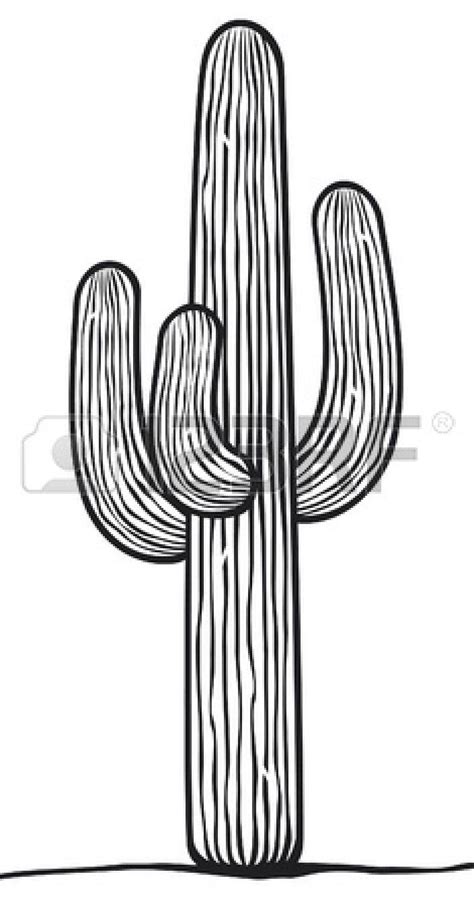 cactus Stock Vector | Cactus drawing, Cactus vector, Cactus painting