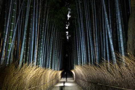 Arashiyama's Moonlit Bamboo Tour: Exploring the Mysterious Night Forest ...