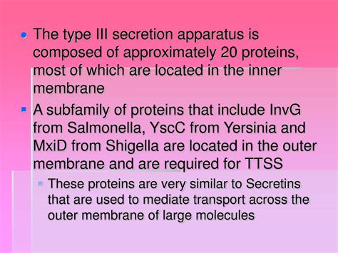 PPT - Type III Secretion System PowerPoint Presentation, free download - ID:4389110