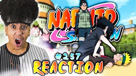 NARUTO SHIPPUDEN Episode 257 REACTION "Meeting" | Anime Reaction - YouTube