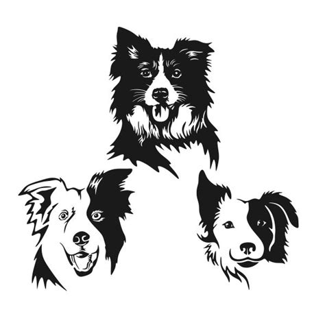 Border Collie Cuttable Design | Dog silhouette, Dog tattoos, Dog stencil