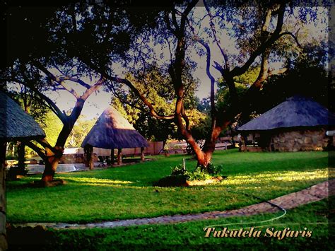 Tukutela Safaris, Garden view | Hwange national park, Safari, Hunting